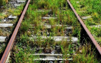 Verkehrsministerium schafft Fakten: Nie wieder Eisenbahn zwischen Templin und Prenzlau