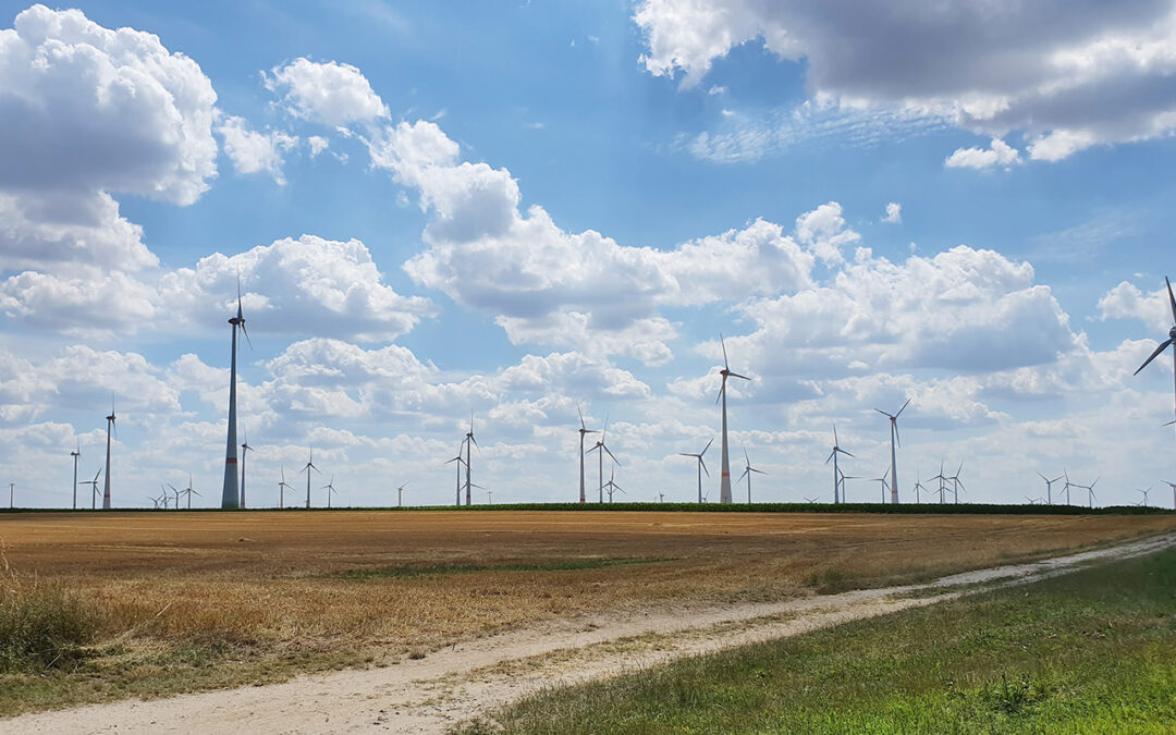 Trotz Moratorium drohen neue Windkraftanlagen